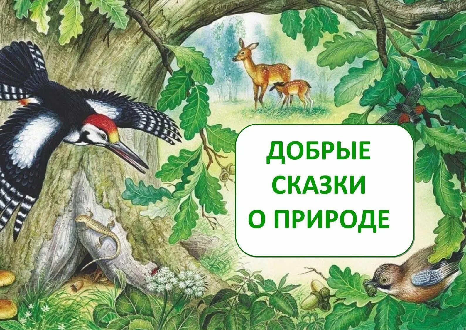 Сказки о природе. Сказтк о природе. Книжки про природу. Сказки для детей о природе.