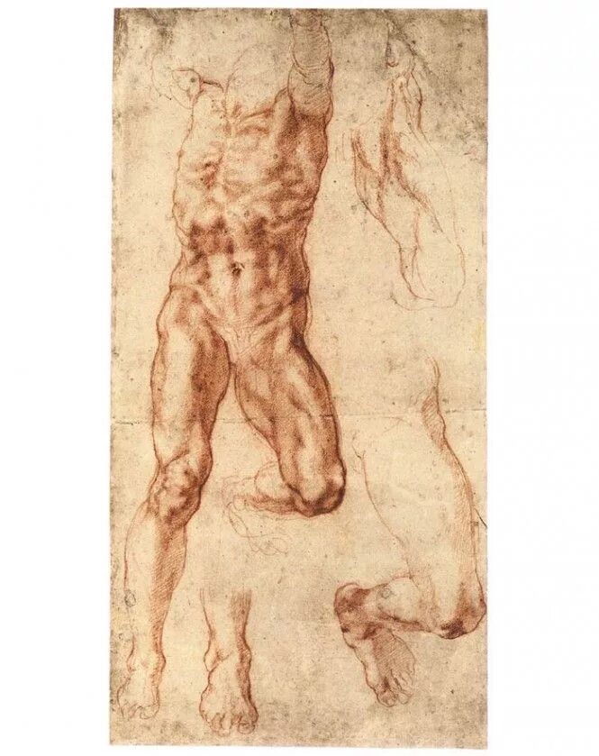 Микеланджело Буанаротти картины. Микеланджело Буонарроти анатомия. Рисунки Микеланджело Буонарроти. Микеланджело фигура человека. Тело возрождение