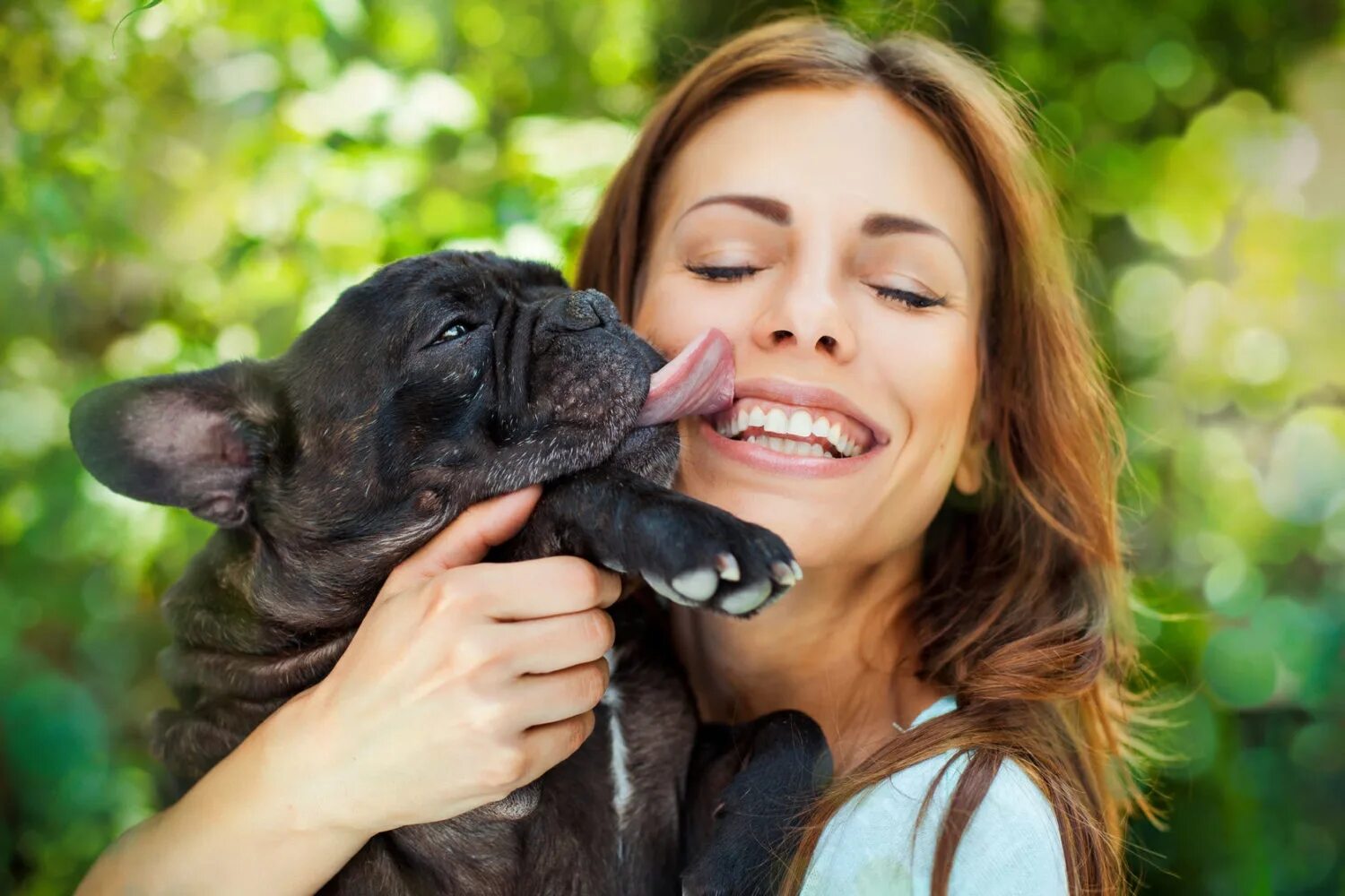 Собака целует. Puppy lick. Собака облизывает. Хозяин и животное. Собака облизывает хозяйке.