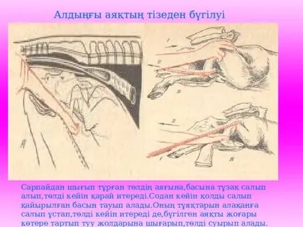 Сыйлықтар үшін гей порно