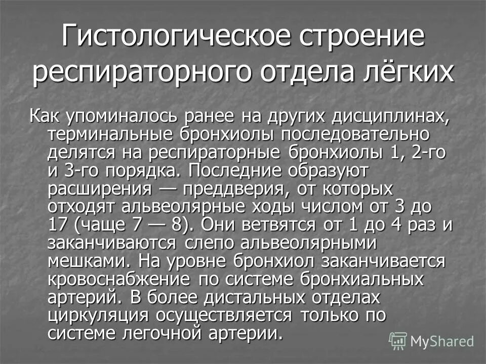 Респираторный отдел легких