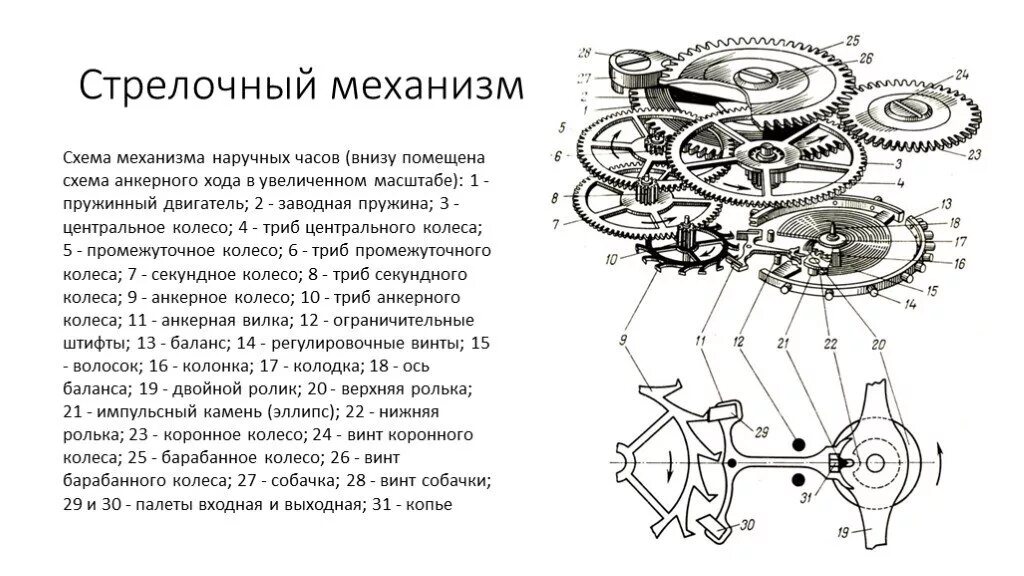 Схема кварцевого механизма наручных часов. Схема часового механизма наручных часов. Основные узлы механических часов схема. Кинематическая схема часового механизма. Триба это