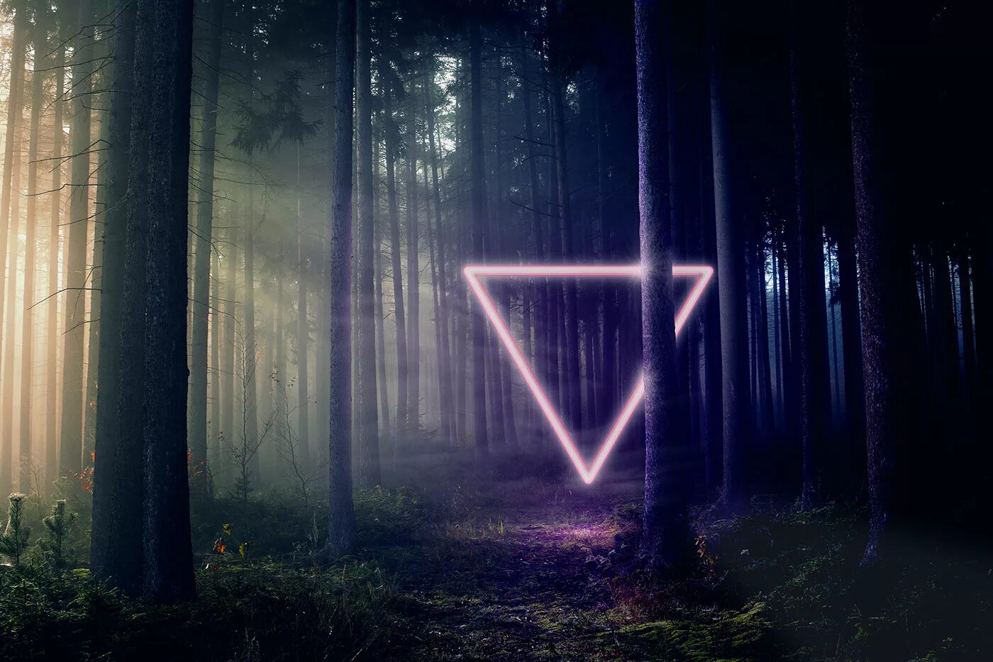 Dark light go. Лес в треугольнике. Неоновый треугольник в лесу. Темный свет. Лес треугольник арт.