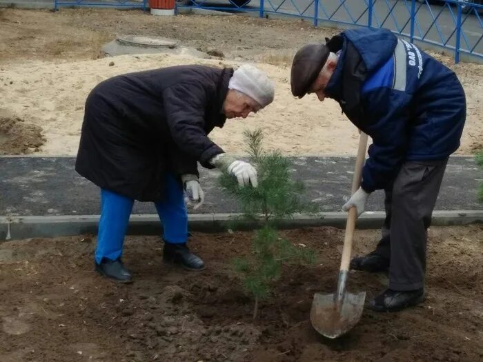 ткани волгоград краснооктябрьский рн. дворы волгограда краснооктябрьский район. работа в краснооктябрьском районе свежие вакансии. краснооктябрьский парк в волгограде. работа в краснооктябрьском районе свежие вакансии.