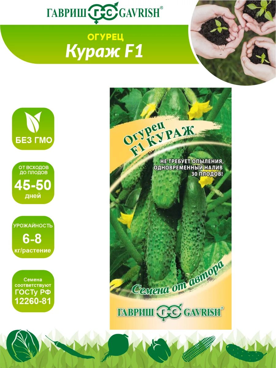 огурец кураж 10шт гавриш. семена огурца кураж. огурец кураж f1 гавриш 1+1. семена огурец кураж f1. семена огурцов кураж.