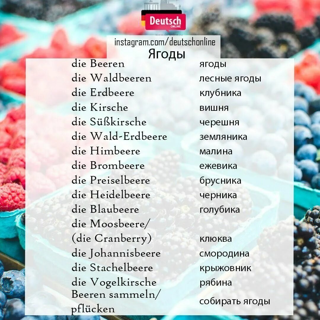 Фрукты на немецком языке. Фрукты и овощи на немецком языке. Ягоды на немецком языке. Овощи и фрукты на немецком языке с переводом. Недели на немецком языке с переводом