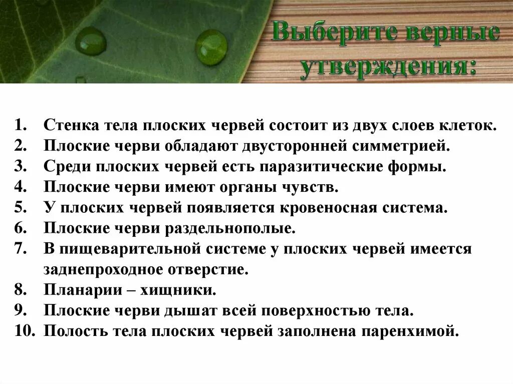 Тест по плоским червям. Плоские черви обладают. Тип плоских черви стенки тела. Особенности строения паразитических червей. Стенка тела плоских червей состоит из 2 слоев клеток.