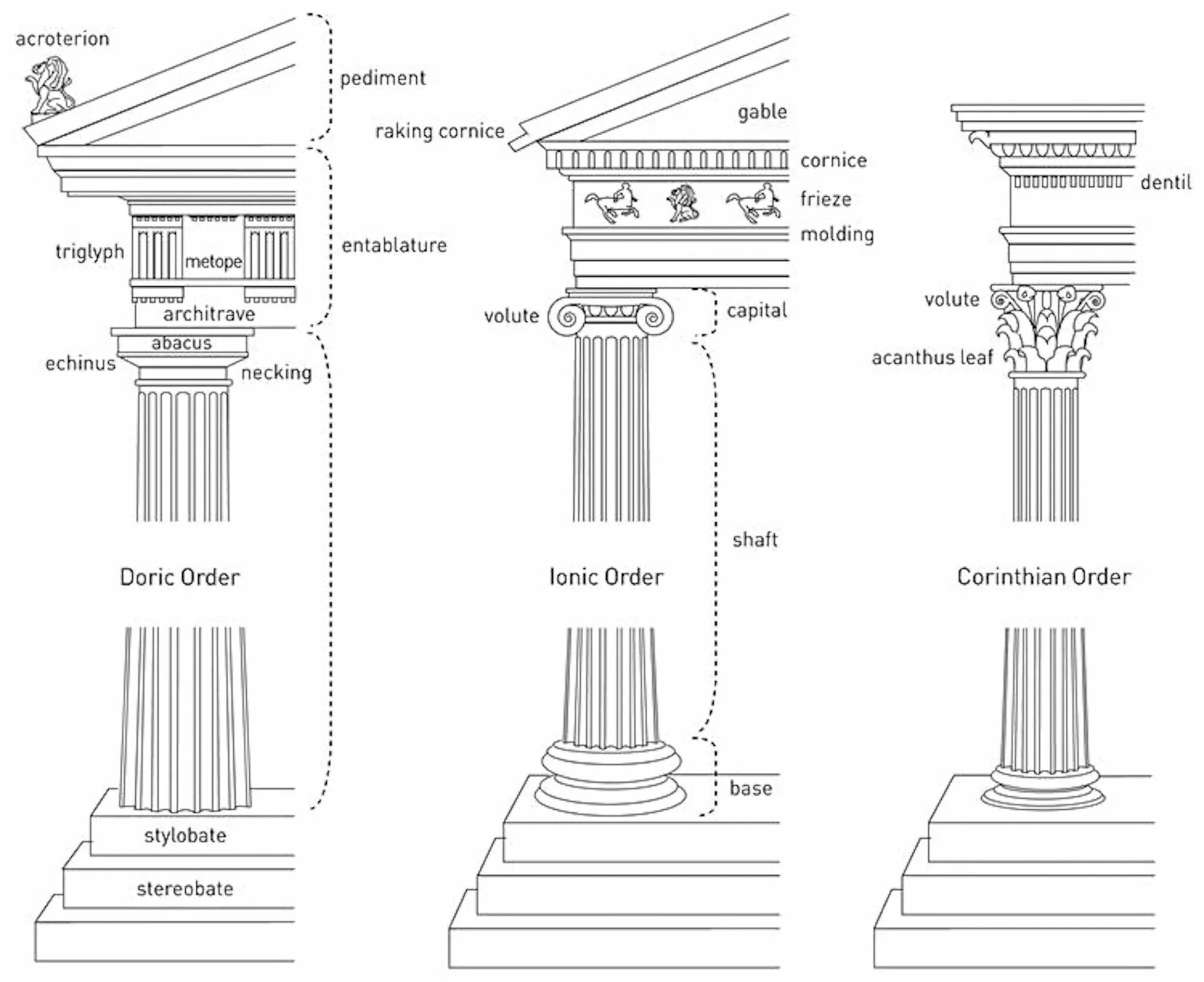 Columns types