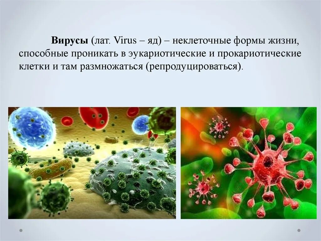 Почему вирусы неклеточные формы. Неклеточные формы жизни вирусы биология 9 класс. Вирусы неклеточные формы жизни 10 класс. Вирусы неклеточные формы жизни проект. Презентация по биологии 10 класс вирусы неклеточная форма жизни.