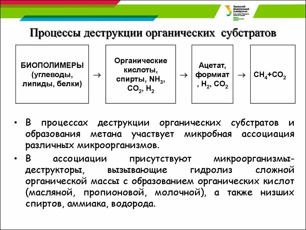 Расщепляет биополимеры. Производство биополимеров. Изготовление биополимеров. Производство биополимеров в России. Процесс деструкции.