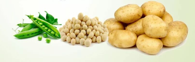 гм продукты. запеченные картофельные дольки. сорт картофеля императрица. картофель фон. зерновые овощи.