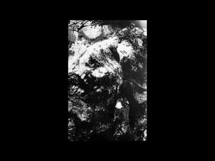 Enshrouded светоящер павших