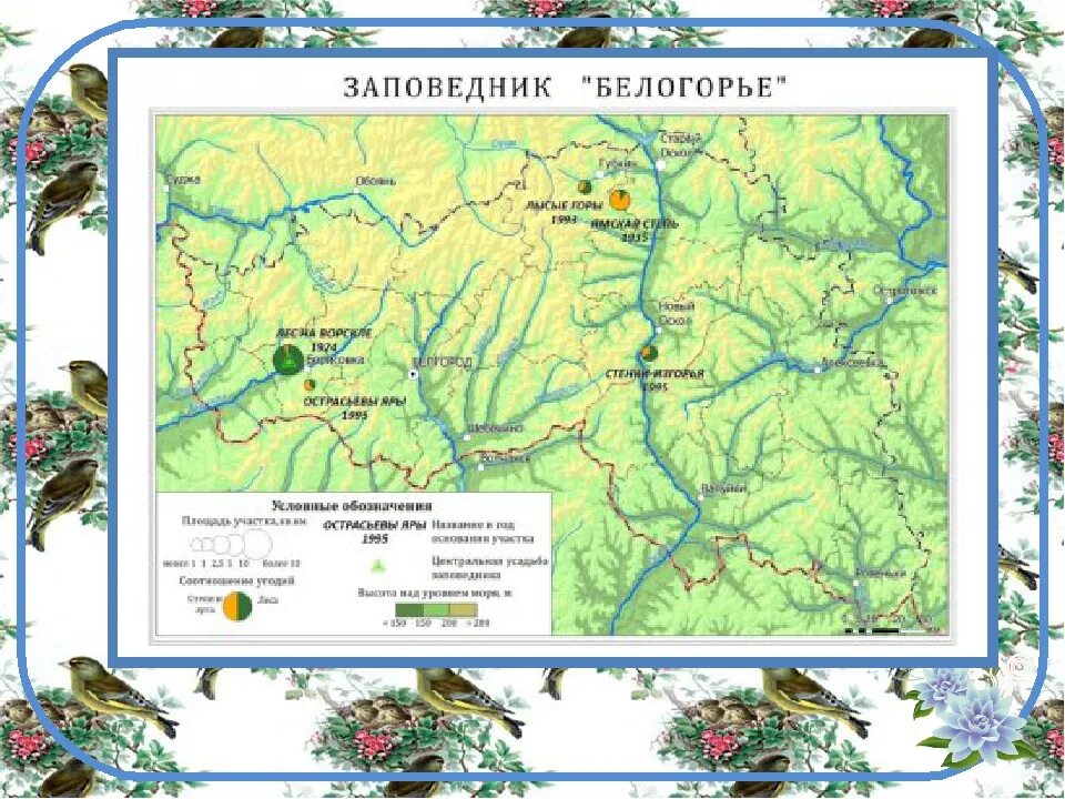 Карта заповедника Белогорье. Заповедник Белогорье на карте России. Лес на Ворскле заповедник на карте. Государственный природный заповедник "Белогорье" карта.