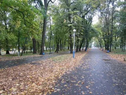 Орел парк культуры