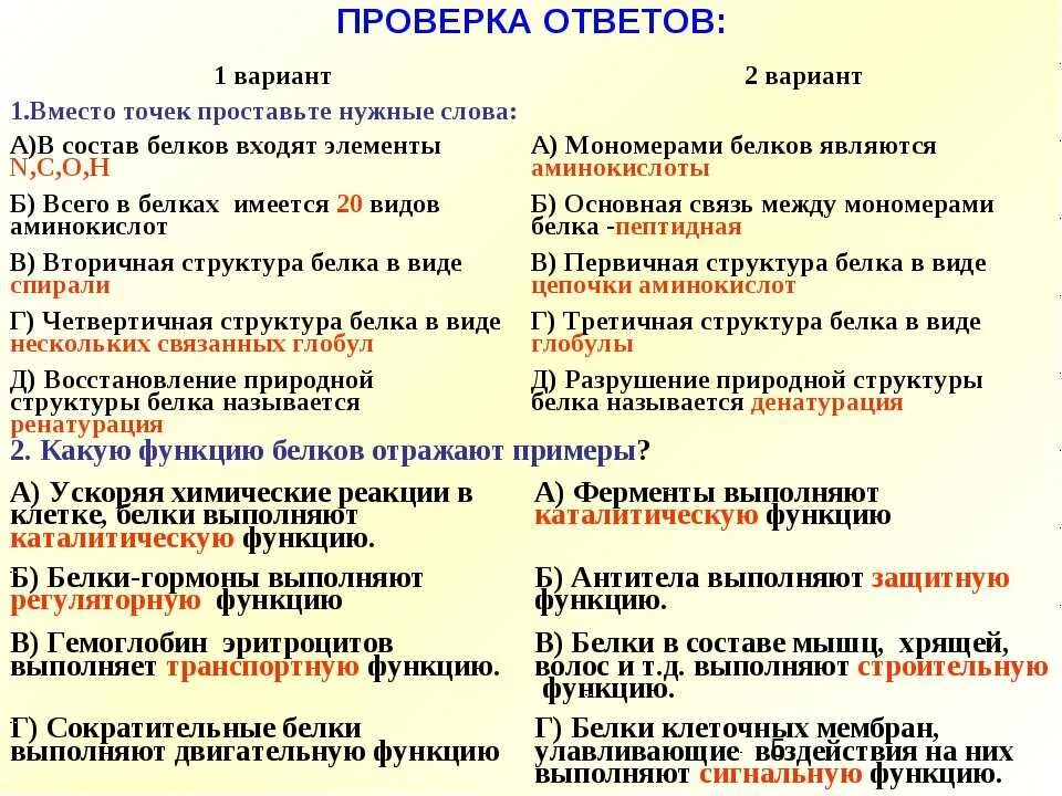 Тест по белкам. Вопросы по теме белки. Тест на тему белки. Тест по биологии на тему белки. Тест по функциям 9 класс