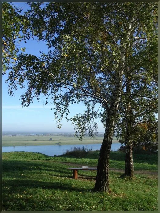 Монашка. Ивы кроткие монашки. Картины маслом станислав малярчук. По меже, на переметке, резеда и риза кашки. Диана кравченко монашка.