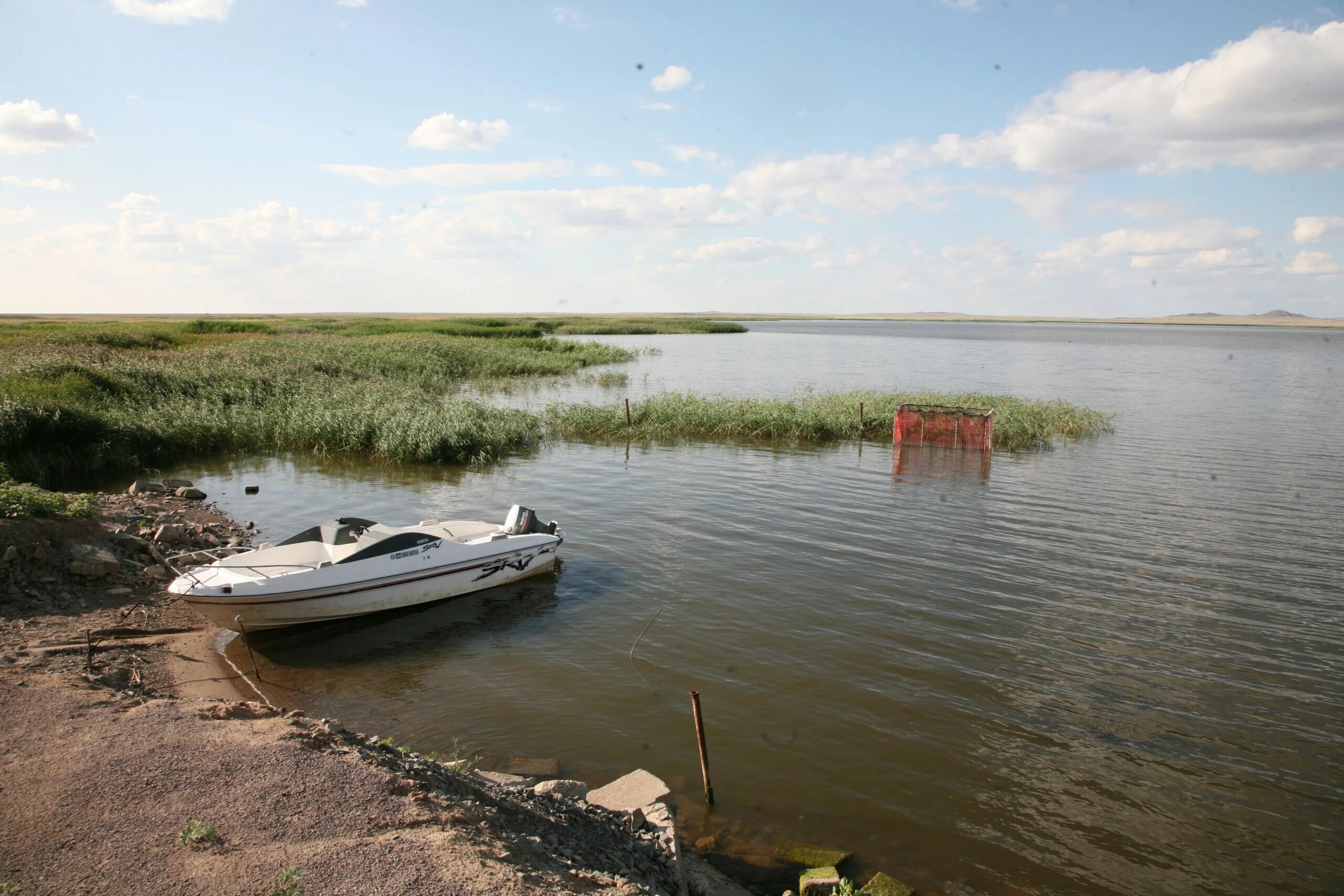 Караганда майкудук 15 мкр. Караганда парк у озеро. Озеро в темиртау карагандинской области. Голубые пруды дзержинск. Озеро сасыкколь в казахстане.