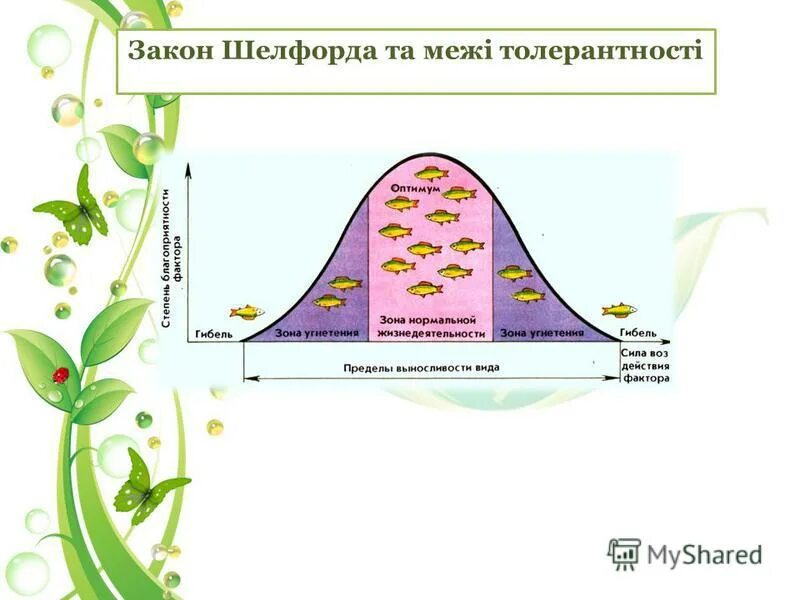 Закон оптимума биология. Закон Шелфорда экология. Шелфорд закон оптимума. Закон минимума Либиха и закон толерантности Шелфорда. Закон экологического оптимума Шелфорда.