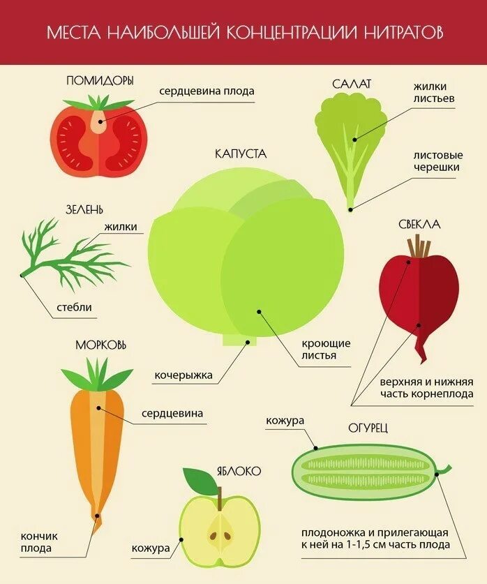 Нитраты в овощах и фруктах. Нитраты и нитриты в овощах и фруктах. Способы определения количества нитратов в овощах. Накопление нитратов в овощах. Определение нитратов в овощах