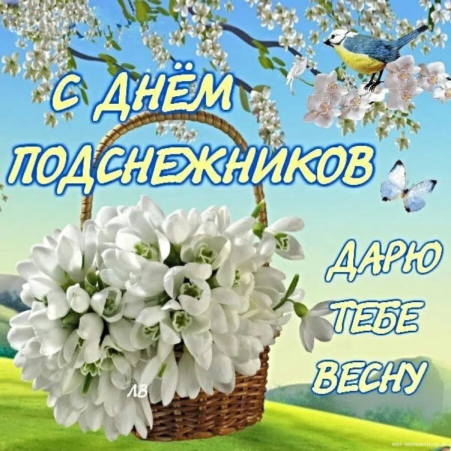 Весенние открытки. Красивые весенние открытки. С днем подснежника открытки. 19 Апреля день подснежника. Апрель п российский