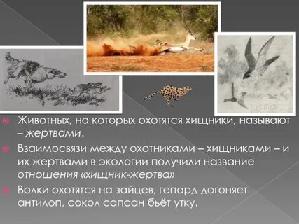 Называют жертвой