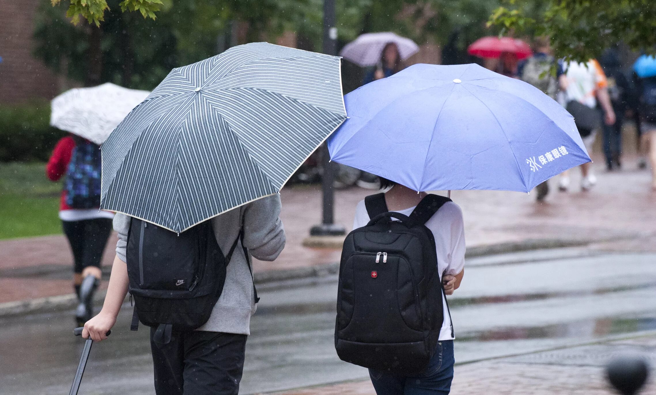 Картинки - 1 студент под дождем. Asian man Walking Rainy. Am walking in the rain