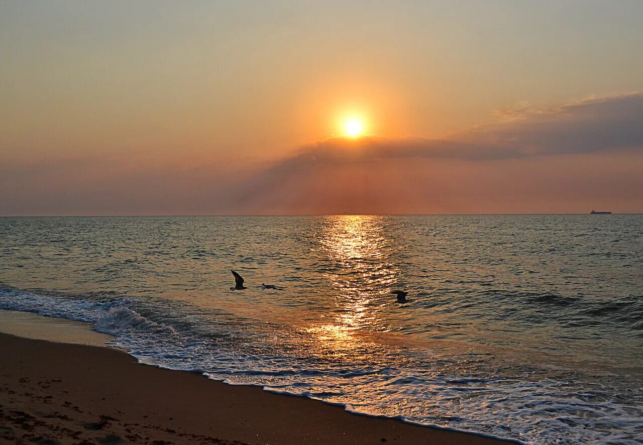 Одесское море. Черное море Одесса. Берег черного моря Одесса. Черное море Одесса берег моря. Черное море закат.