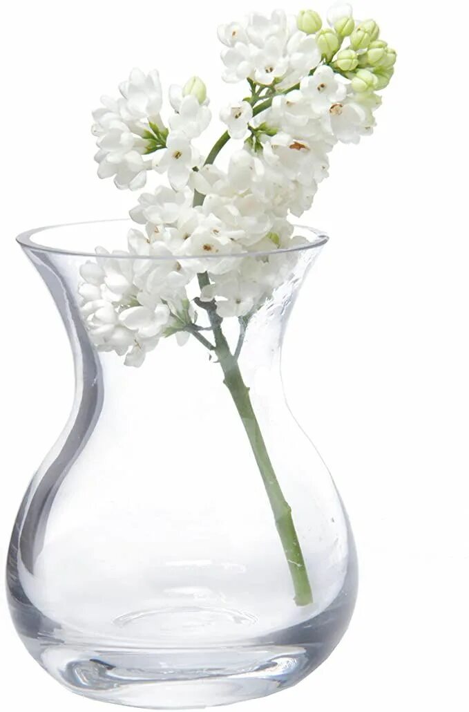 Прозрачная ваза. Стеклянные вазы. Стеклянные вазы для цветов. Ваза для цветов стекло прозрачная. Ваза стеклянная для цветов.