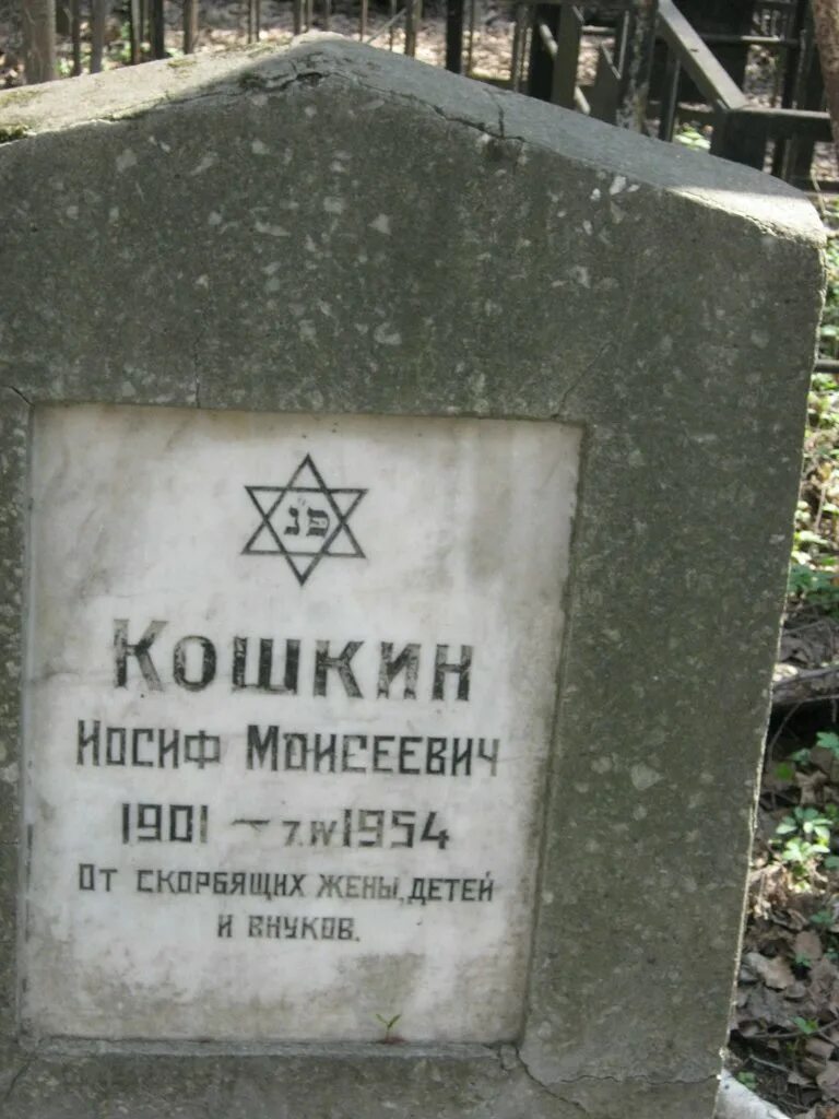 Иосиф толчанов. Иосиф моисеевич. толчанов иосиф моисеевич википедия. рофе иосиф моисеевич. толчанов иосиф моисеевич в молодости.