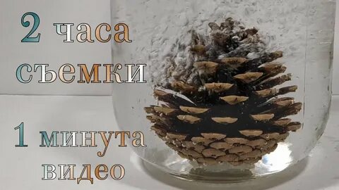 Шишка вода