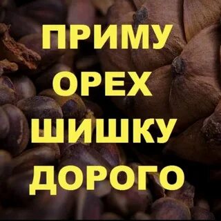 Принимаю шишку