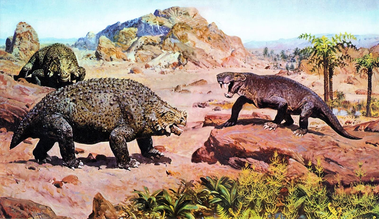 Доисторический варан мегалания. Вараны острова комодо. Мегалания вымершая. Древний крокодил дейнозух. Мегалания динозавр.