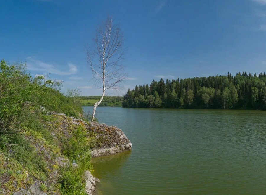 Уровень воды в реке чумыш. Инчереп Киселевск. Река Чумыш Керлегеш. Река Сары-Чумыш. Река Инчереп.