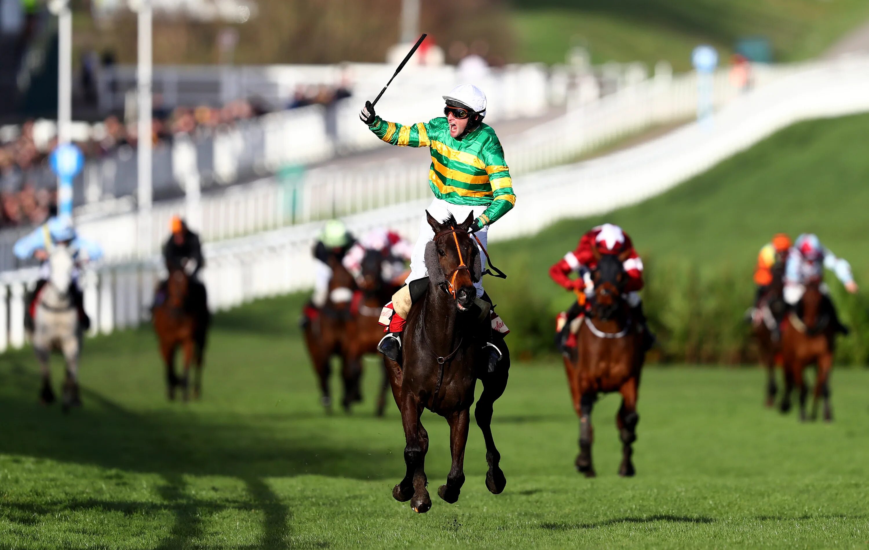 Grand National Horse Race в Британии. Стипль-ЧЕЗ конный спорт. Гандикап конный. Пардубицкий стипльчез. Country race