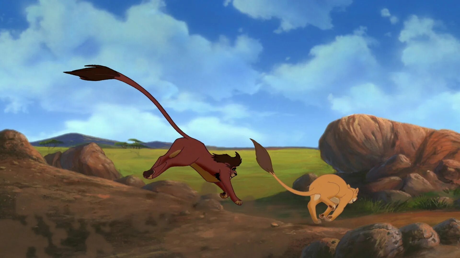 Парк приют земля прайда. Парк львов земля прайда клин. Король лев прайд. Прайд львов король лев. Парк львов земля прайда.