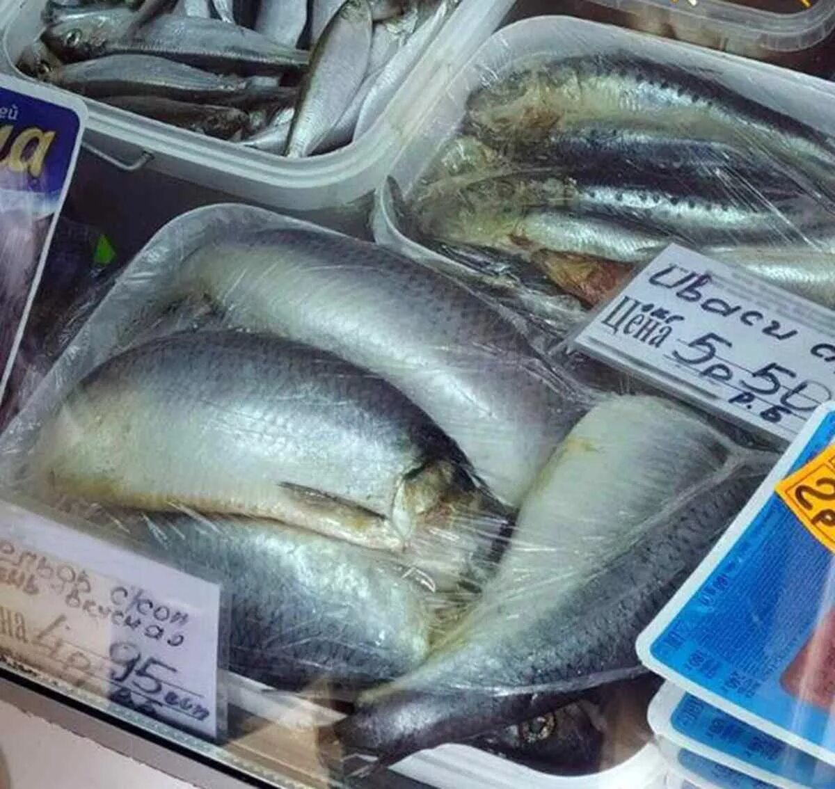 Где купить недорого рыбы. Дешевая рыба в магазине. Самая дешевая рыба в магазине. Самая недорогая рыба. Склад рыбы.