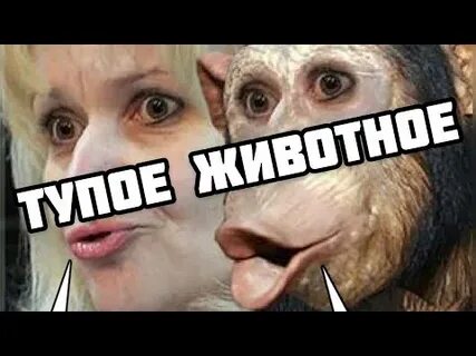 Видео убийцы фарион