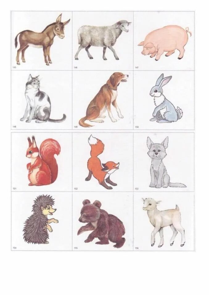 Домашние и Дикие животные для детей дошкольного возраста. Карточки с домашними и дикими животными. Дикие животные для малышей. Изображения животных для детей.