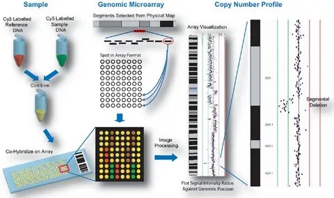 Comparative genomics