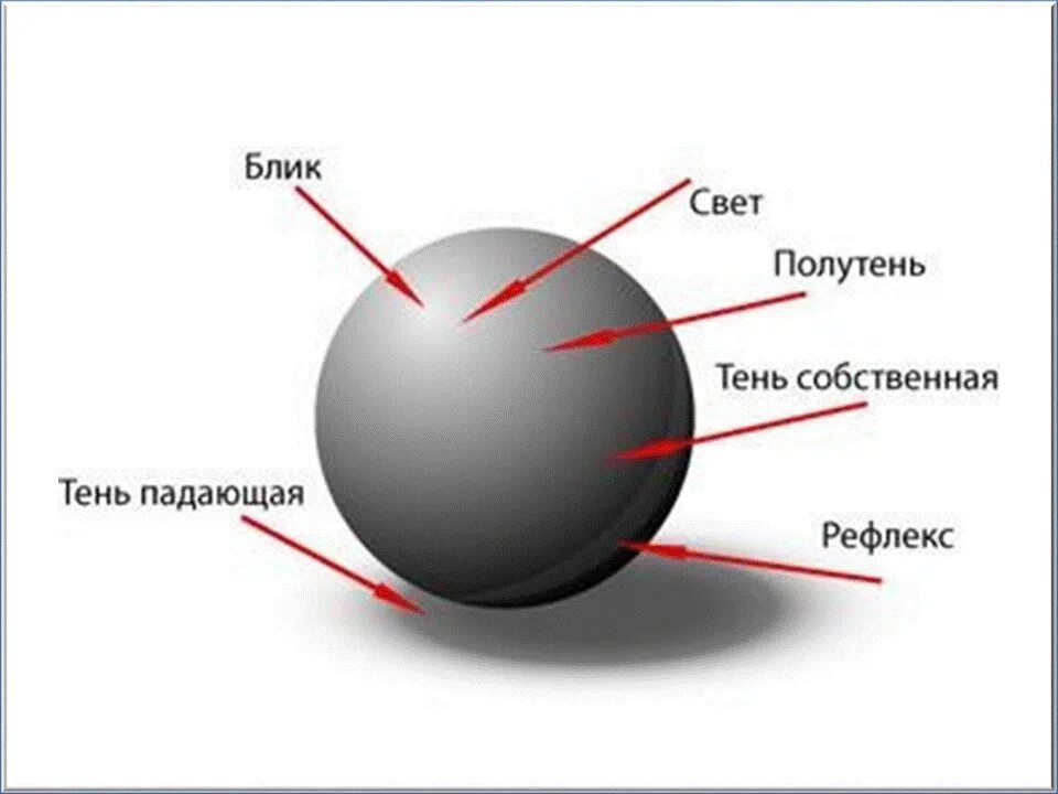 Свет тень на шаре. Свет тень полутень рефлекс блик в рисунке. Шар свет тень полутень рефлекс блик рисунок. Тень полутень рефлекс. Схема тень полутень рефлекс.