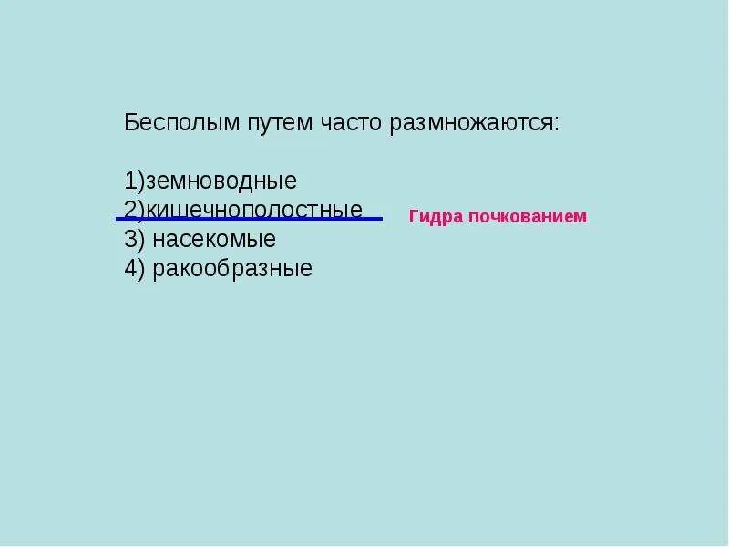 Бесполым путем часто размножаются. Бесполым путем размножаются земноводные. Размножение живых организмов 9 класс тест. Как размножаются земноводные и насекомые 2 класс.