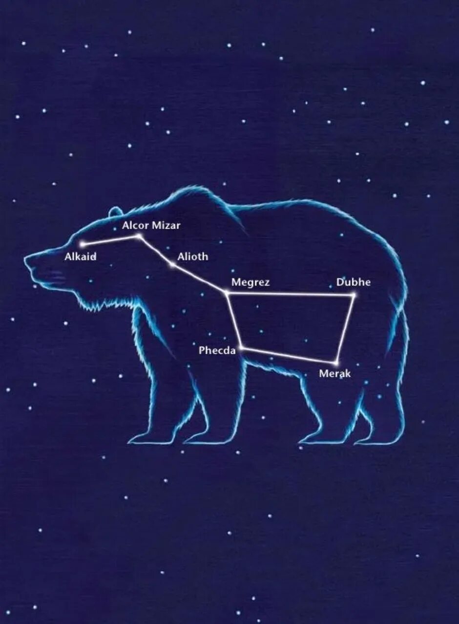 Группа большой медведицы. Большая Медведица Созвездие. Астеризм ковш большой медведицы. Как выглядит большая Медведица звезды. Ковш Созвездие большая Медведица.