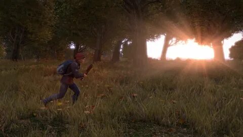 Dayz version