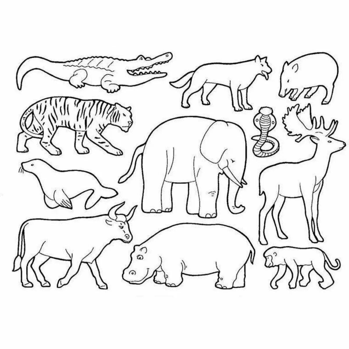 Раскраска группы животных. Рисунки животных для детей. Контуры животных для детей. Раскраски животные для детей. Раскраска африканские животные для детей.