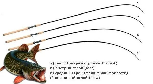 Строй fast. Строй спиннинга Медиум фаст. Строй спиннинга MF. Строй Медиум у спиннинга. Строй спиннинговых удилищ Медиум.