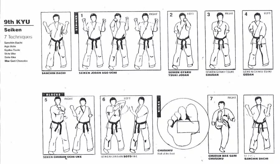 Дати. Техника на 9 кю киокушинкай каратэ. 9кю в каратэ киокушинкай. Техника ударов в каратэ на 9 кю. Блоки ката на 9кю карате.