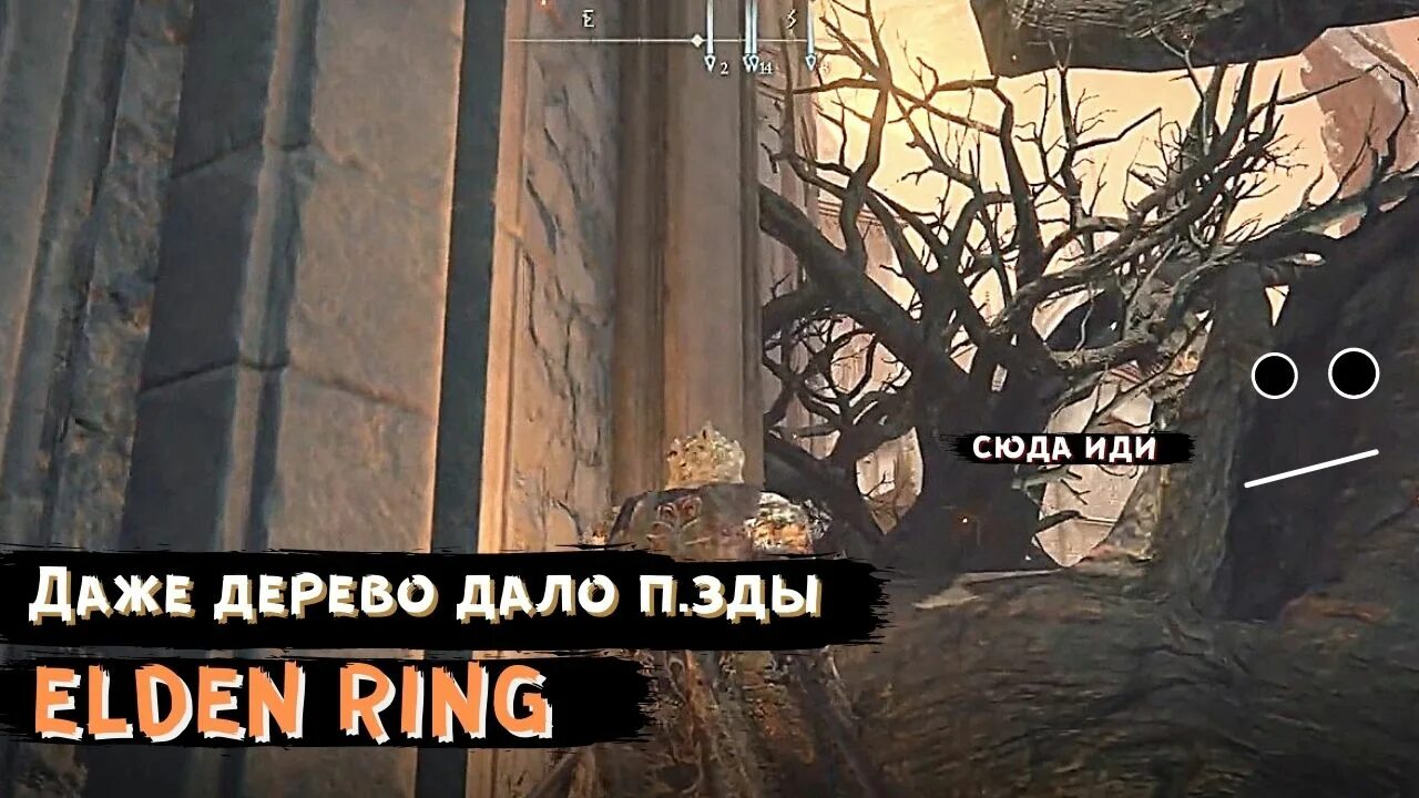 Дерево Элден. Кричащее дерево elden Ring. Elden Ring святое дерево. Elden Ring мудрое дерево.