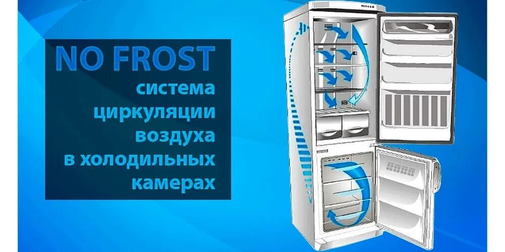 Как размораживать холодильник no frost. Холодильник Индезит двухкамерный ноу Фрост. Холодильник Индезит ноу Фрост намерзает лед.