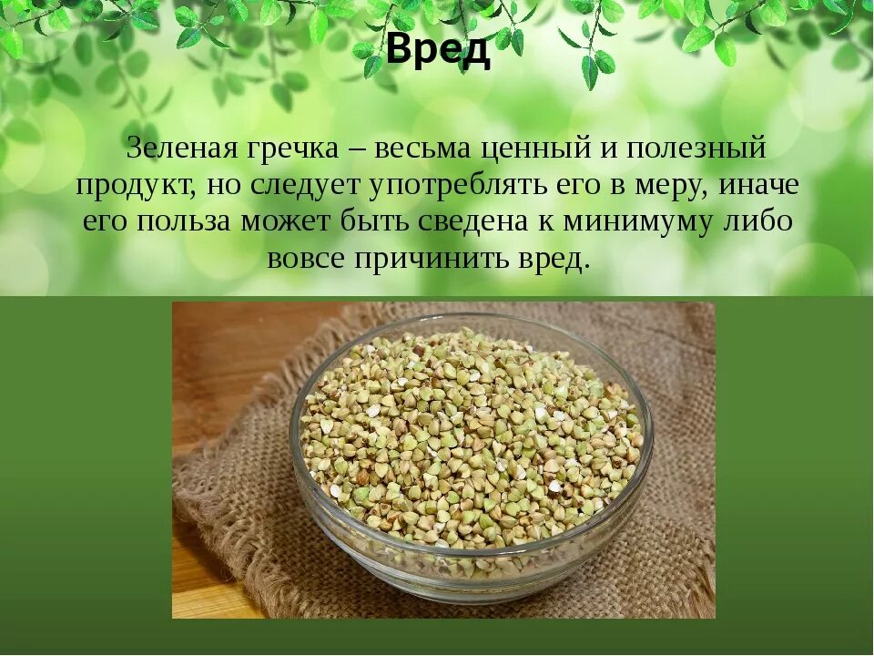 Чем вредна гречка для организма