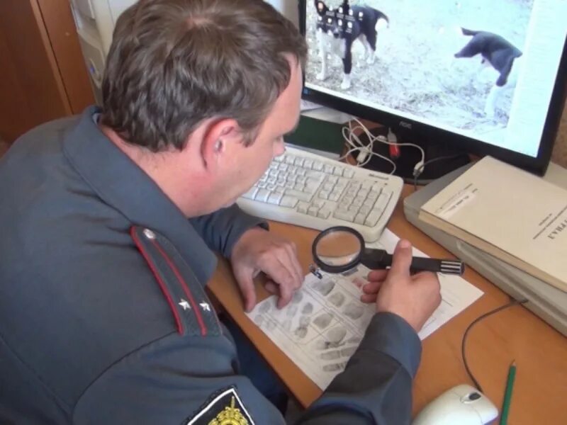 Факт совершения преступления. Методика расследования разбоя презентация. Ук рф статья 199. Сокрытие информации о преступлении. 316.